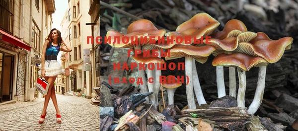 СК Белоозёрский