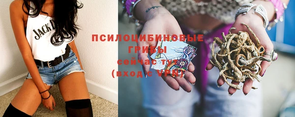 мескалин Надым